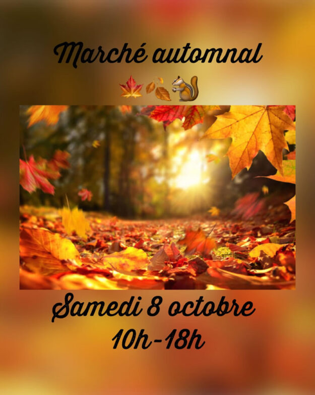 Buxus_Marche_Automne
